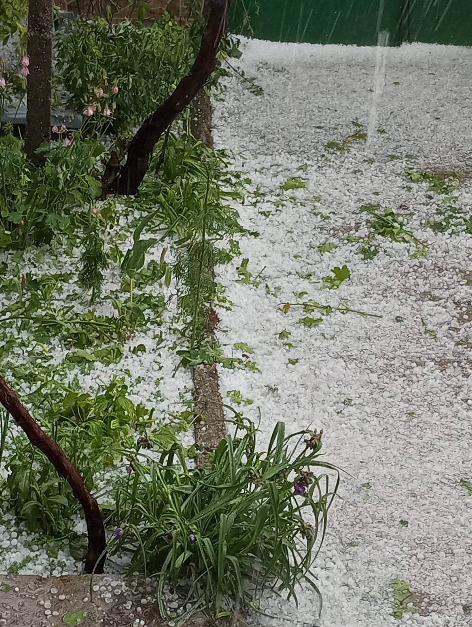  Градушка в Старозагорско 